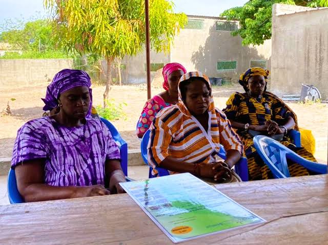 Atelier communautaire de Natural Justice au Sénégal, généré par IA