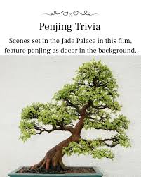 National Bonsai Foundation (@nbfbonsai) · Washington D.C., DC