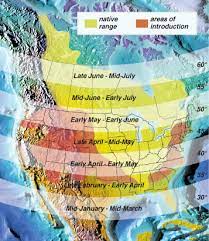 When do bass spawn in wisconsin. Predicting Walleye Prespawn