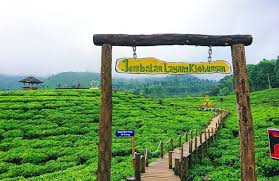 Harga tiket masuk dira park jember juli 2021. 13 Daftar Tempat Wisata Di Jember Terbaru Populer 2020