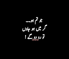 Woaw Shayari Kiya Hai Urdu Words Deep Words Love Poetry Urdu
