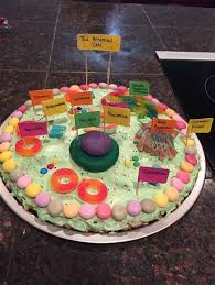 Do plants have cells like yours? Plant Cell Model Edible