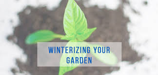 How to put your garden to bed. Prepare Your Garden For Winter In Alaska Surviving Winters In Alaska