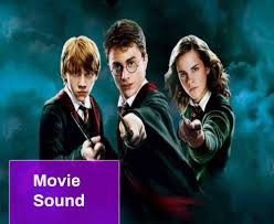 Why did harry, ron, and hermione return to hogwarts every year when only bad things happened to them?! Harry Potter Sound Effect Free Mp3 Download Mingo Sounds