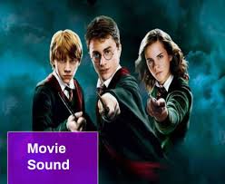 Why did harry, ron, and hermione return to hogwarts every year when only bad things happened to them?! Harry Potter Sound Effect Free Mp3 Download Mingo Sounds