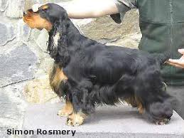 Image result for anglický barvář