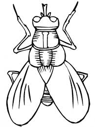 Plus, it's an easy way to celebrate each season or special holidays. Printable Bugs Coloring Home