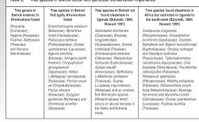 Image result for Strombosiopsis tetrandra