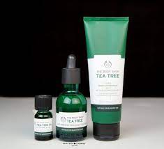 New The Body Shop Tea Tree Range Review Price Buy India Body Shop Tea Tree The Body Shop Tea Tree Skincare