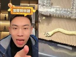 蛇妖出笼2双头蛇_双头蛇王电影_双头蛇的电影-抖音