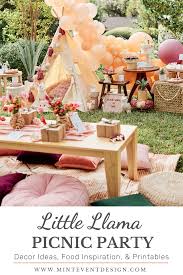It's fun when a one or a two year old has a birthday because the mom can still pick the theme. Little Llama Birthday Picnic Party Mint Event Design