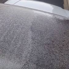 Check spelling or type a new query. The Tiny Bug That Could Land You With A 500 Car Repair Bill Bristol Live