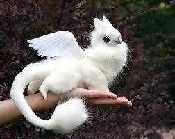 Pin By Wendy Cuvelier On Fotos De Animais Engracados In 2020 Cute Fantasy Creatures Cute Creatures Cute Animals