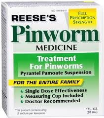 Image result for Pinworm