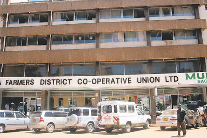 Sacco giants have key role | Daily Nation