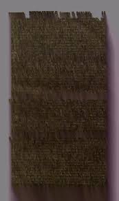 Image result for Hydrostachys myriophylla