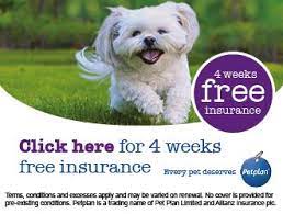 I bought a petplan policy for my dog, tripper. Free Pet Insurance