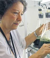 Cecilia Lopera's Instagram, Twitter & Facebook