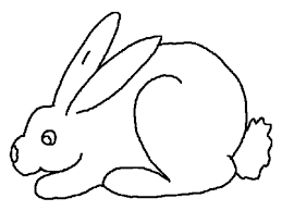 Das hausmeerschweinchen (cavia porcellus form. Rabbits Coloring Pages Realistic Animal Coloring Pages Bunny Coloring Pages Rapunzel Coloring Pages