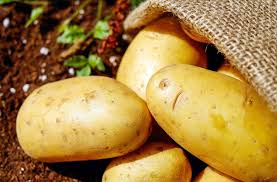 The phe remains at 71 mg but the new weight makes it 1.82 mg/g (71 mg/39 g).… Potatoes For Gut Health And Weight Loss The Potato Hack Origins Medicine