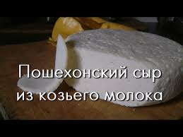 как сделать твердый сыр из козьего молока в домашних условиях 1 Tverdyj Syr Doma Poshehonskij Iz Kozego Moloka Youtube V 2020 G Koze Moloko Syr Moloko
