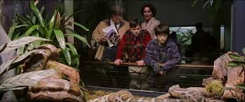 Noticing the snake's bizarre behavior, dudley runs over to the glass case, pushing harry hard to floor in the process. London Zoo Reptile House Marauders Online