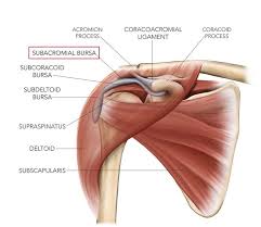 Image result for Subacromial Space Injection