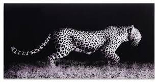 | such piece of art could be hanged either on window or wall. Fearless 1 Frameless Free Floating Tempered Art Glass Wall Art 24 X 48 Contemporary Prints And Posters By Empire Art Direct Houzz