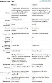 9b091e812e34353625c8827c4c60505c Jpg 398 637 Pixels Biology Classroom Biology Lessons Mitosis