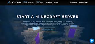 By using our control panel you can easily make your own minecraft server for free. 10 Best Minecraft Server Hosting 2021 Cheap Free Options