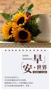 pin by li shu zhang on 早安心語正能量圖片 good morning good night good morning good night