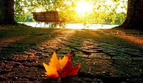 După 11 mai vin şi ploile, însemnate cantitativ mai până luni, la ora 12.00, vântul va sufla cu putere în întreaga ţară, rafalele ajungând la munte până la 90 de kilometri la oră. Dorohoi News Dh News Stiri Dorohoi Botosani Vremea In Septembrie 2018 Prognoza Meteo AnunÈÄ Cum Va Fi La ToamnÄ Anunturi