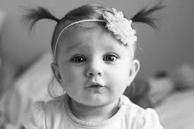 Sarah Teal Photography