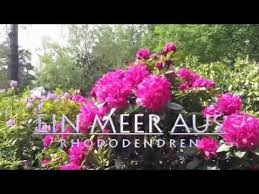 Rhododendronpark Graal Muritz Youtube