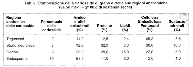 Maybe you would like to learn more about one of these? Https Amslaurea Unibo It 19206 1 Finotti Mara Tesi Pdf