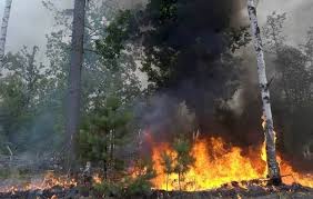 Aug 20, 2021 · пожар, бушующий в лесах медведевского района марий эл, резко перекинулся на постройки в посёлке студенка. Awwf2fzbiatzcm