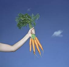 How To Meal Prep For The Week Ahead Become The Queen Of Carrots And Achieve Enlightenment Meal Prep For The Week Food Preparation Meal Prep