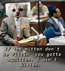 We prefer that if you post photos, it be of your own cat(s) or one(s) you lawyer cat memes! Kitten Lawyer Memes