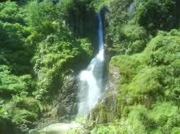 Menu makanan lombok ijo, ayam buto ijo, empal buto ijo, roti bakar aneka rasa, pisang bakar aneka rasa Air Terjun Pletuk Pesona Alam Yang Hijau Di Jawa Timur Jawa Timur