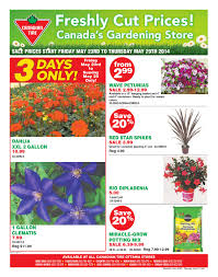 It never fails to bloom prolifically. Manotick052214 By Metroland East Manotick News Issuu