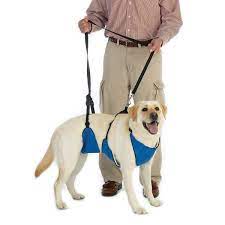 lift lead dog mobility harness ペット用品 犬 ペット