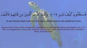 Baca surat al mulk lengkap bacaan arab, latin & terjemah indonesia. Surah Al Mulk Rumi Dan Terjemahan Youtube