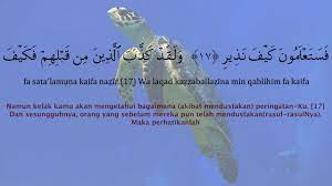 You can also download any surah (chapter) of quran kareem from this website. Surah Al Mulk Rumi Dan Terjemahan Youtube