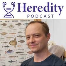 Colour genetics of the tortoise beetle (November)