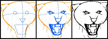 Tigers' size and stockiness relative to other cats isn't just a feature of their body and limbs. How To Draw A Roaring Tiger Step By Step Drawing Guide By Finalprodigy Dragoart Com