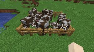 Game ► minecrafttiny and simple pig pen or small barn used to store chickens, cows, llamas, sheep or even used as a horse stable if you have a double gateche. Top 5 Minecraft Farm Ideas For Beginners