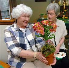 We did not find results for: Clubs Give Gardeners Chance To Share Ideas Beautify Town News Sports Jobs Lawrence Journal World News Information Headlines And Events In Lawrence Kansas