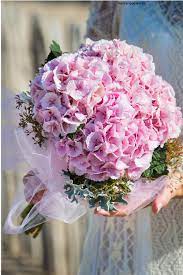 Große blüten ohne ende, nahezu alle farben des regenbogens und obendrein sind sie auch noch. Hortensien Strauss In Pink Blumenstrauss Hochzeit Brautstrausse Brautstrauss