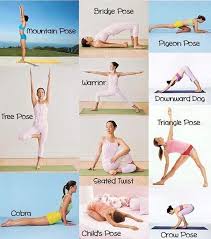 11 Ubungen Fur Anfanger Einfach Ubungenz Zum Start Mit Videos Musik Erfahrung Und Empfehlungen Der Artike In 2020 Yoga Poses For Beginners Workout Easy Yoga Poses
