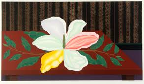 Psych Major Gone Artsy